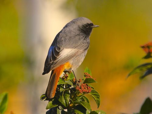 Book direct for our best rates